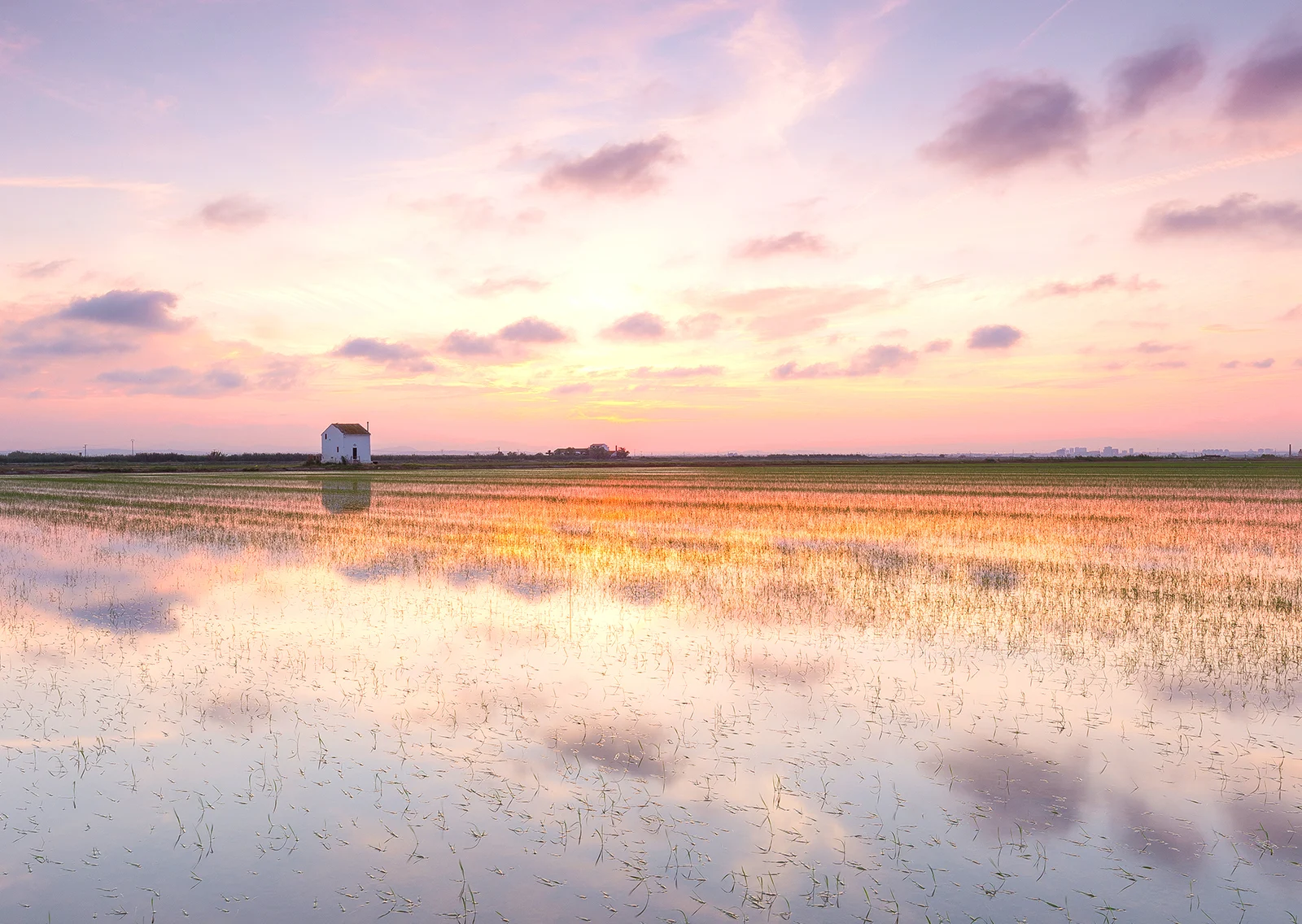 Albufera Bus Turístic: Ausflug mit Bootsfahrt