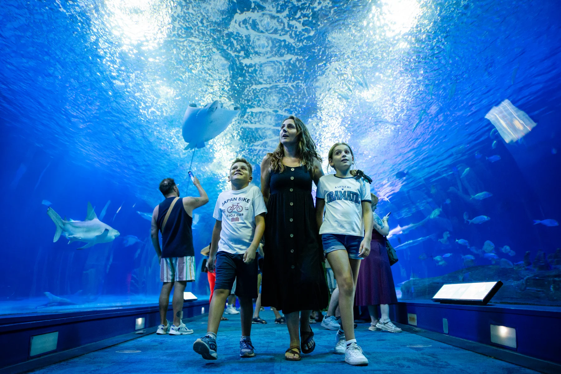 Oceanogràfic Aquarium Valencia